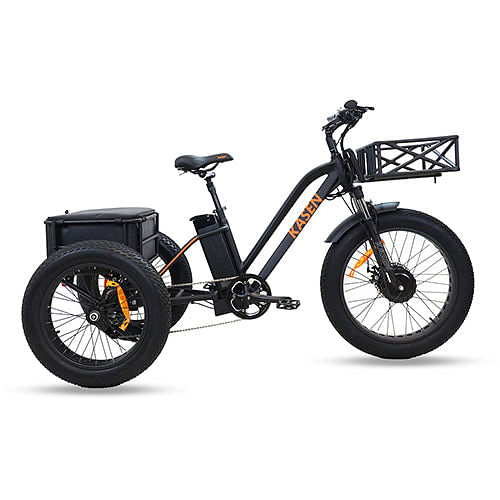 electric trike