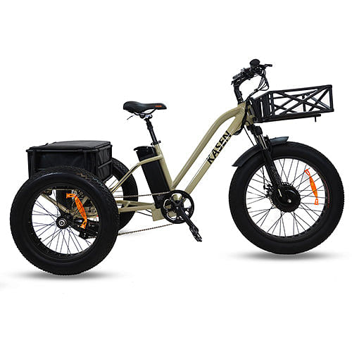 shop electric trike online