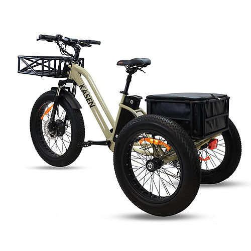 etrike high performance trike motor trike three wheel bike